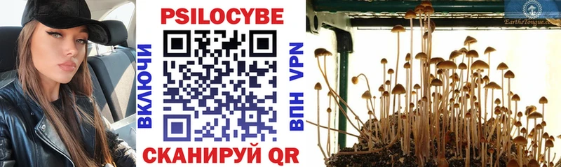 Галлюциногенные грибы прущие грибы Старый Оскол